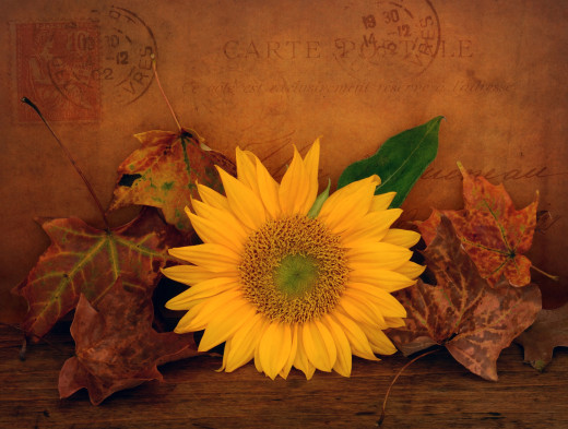 701699 (a): :2048x1546